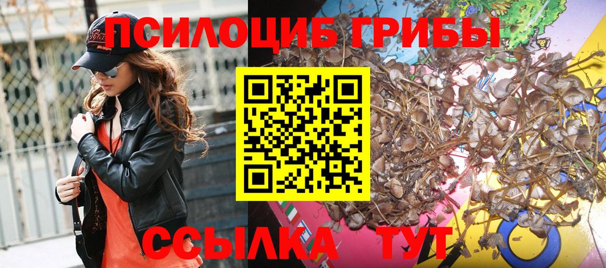 Псилоцибиновые грибы MAGIC MUSHROOMS Амурск