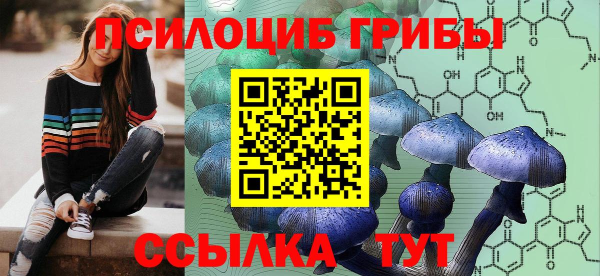 Псилоцибиновые грибы GOLDEN TEACHER  Вход с VPN  Галлюциногенные грибы мухоморы  Амурск 